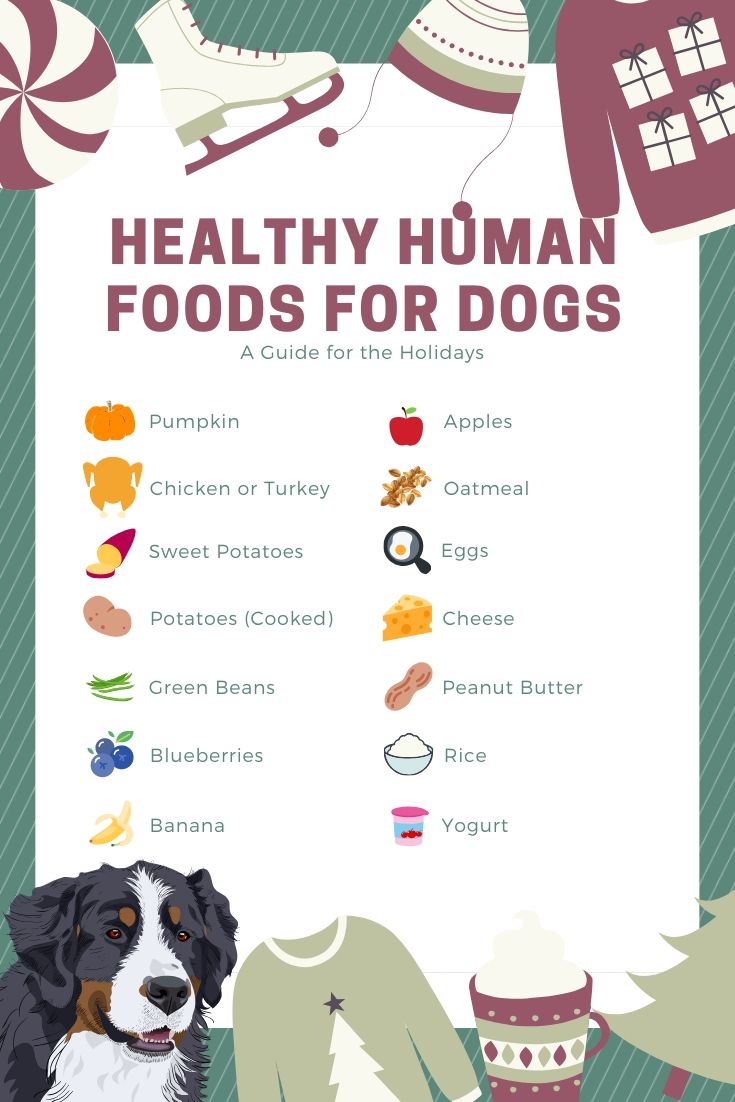 A List Of Foods That Aret Good For Dogs