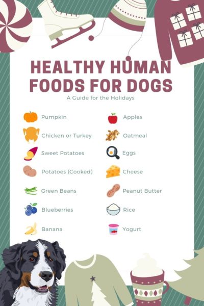 List of Human Foods Your Dog Can Eat this Holiday Season